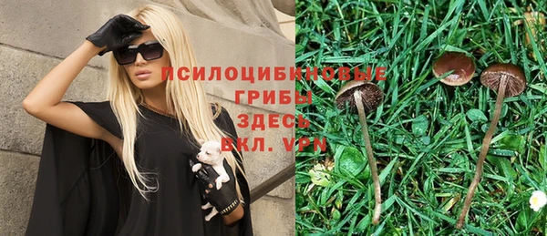 молекула духа Абинск