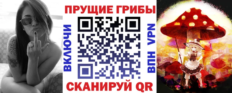 blacksprut маркетплейс Зубцов Псилоцибиновые грибы Psilocybe